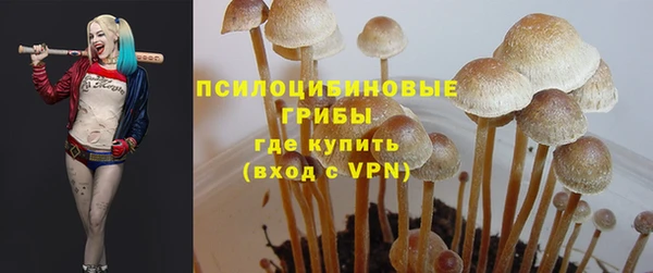 таблы Тында